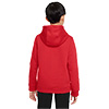 Nike Park 20 Junior Hoodie