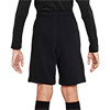 Nike Park 20 Junior Fleece Short
