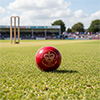 Gray Nicolls Crown 2 Star Cricket Ball