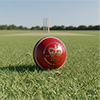 Gray Nicolls Crown 5 Star Cricket Ball