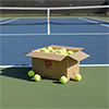Wilson Triniti Club Tennis Ball 72 Pack