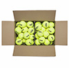 Wilson Triniti Club Tennis Ball 72 Pack