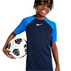 Nike Academy Pro II Junior Training Top