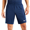 Nike Academy Pro II Junior Knit Short