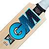 Gunn & Moore Diamond Signature Cricket Bat