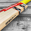 Gray Nicolls Powerbow 200 Original Cricket Bat