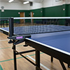 Butterfly Elite Table Tennis Clip and Post Set 