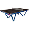Butterfly All Weather Table Tennis Table