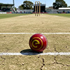 Elders Club Cork Cricket Ball