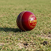 Elders Club Cork Cricket Ball