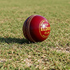 Elders Club Cork Cricket Ball