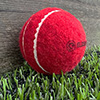 Elders Felt Cricket Ball 