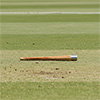 Elders Cricket Bat Grip Cone