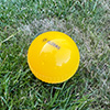 Elders Kwik Cricket Double Set