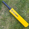 Elders Kwik Cricket Double Set