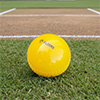 Elders Kwik Cricket Double Set