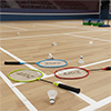Zoft Club Badminton Racket