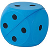 First Play Foam Dice 