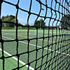 Club Tennis Net