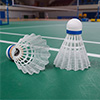 Zoft Club Badminton Shuttlecock 12 Pack