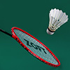 Zoft Feather Badminton Shuttlecock 12 Pack