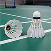 Zoft Feather Badminton Shuttlecock 12 Pack