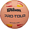 Wilson Pro Tour Indoor Volleyball
