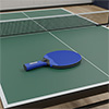 Sure Shot Matthew Syed Outdoor Table Tennis Bat