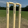 Elders County Spring Return Stumps