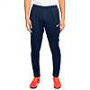Nike Park 20 Dri-Fit Senior Pant