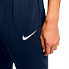 Nike Park 20 Dri-Fit Senior Pant