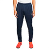 Nike Park 20 Dri-Fit Senior Pant