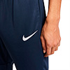 Nike Park 20 Dri-Fit Senior Pant