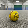 Elders Indoor Leather Cricket Ball 