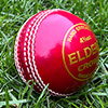 Elders Crown Cricket Ball