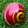 Elders Crown Cricket Ball