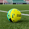 Ziland Pro Trainer Football