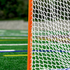 Elders Professional Lacrosse Goal