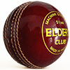 Elders Cricket Coaching Ball Bundle