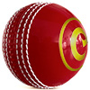 Elders Cricket Coaching Ball Bundle