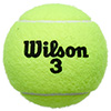 Wilson Roland Garros All Court 4 Ball Pack