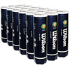 Wilson Roland Garros All Court 4 Ball Pack