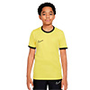 Nike Academy 25 Junior Short Sleeve Top