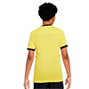 Nike Academy 25 Junior Short Sleeve Top