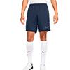 Nike Academy 25 Senior Knit Short