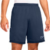 Nike Academy 25 Senior Knit Short