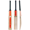 Gray Nicolls Scoop 50 Classic Cricket Bat