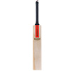 Gray Nicolls Scoop 50 Classic Cricket Bat