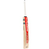 Gray Nicolls Neocore 500 Cricket Bat