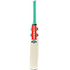 Gray Nicolls Ventus 1.0 Warrior Cricket Bat